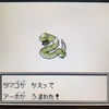 【ポケモン】VCで色違い粘って思ったこと