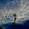 夏の朝に秋の空