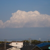 小さな池がある公園の桜並木≪#1≫ 　― 空を舞う桜の花びらと夏の雲 ―