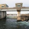 遠征散歩「相模大堰管理橋」・・・魚道の下流側にまわってみた