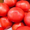 初夏の味覚『トマト』🍅