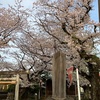 朝活2日目　仲間が増えた？？