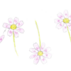 描く練習　らくがき　1　コスモス
