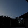 今朝の月