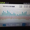 １２月&今年の太陽光発電の結果⚡