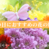 敬老の日におすすめな花の贈り物