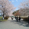 4月30日宮古市桜堤公園にて