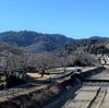 大晦日・・2020年