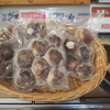 八色椎茸 天恵菇（てんけいこ）いかがですか！！