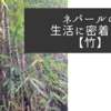 生活に密着した【竹】
