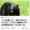 【クマ被害速報！……12／25－27　「OSO18」の影で続いていた、犬を襲うクマ「RT＝ルシャ太郎」の被害から学ぶ】＃446