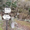 カズラ谷から鎌ヶ岳（１１６１m）へ！