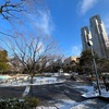 （紹介：雪）雪が降った新宿中央公園エリアの様子をご紹介いたします