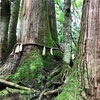 貴船神社の次は戸隠神社◉&縁結びの日☺︎