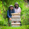 日本蜜蜂・絆