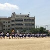 中学校(A)の運動会