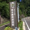 奥多摩周遊道路→松姫峠