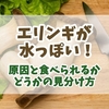 エリンギが水っぽい原因とは？食べられる？腐敗の見分け方と正しい保存＆活用法
