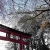 サイン