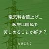 電気料金値上げ...政府は国民を苦しめることが好き？