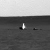 NASAのローバー近くの3枚の写真で、火星の天使的な存在が見られます