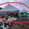 謹賀新年。