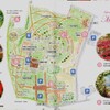 バラ観賞に信州中野へ