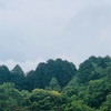 今朝の景色