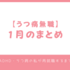 【うつ病無職】1月のまとめ