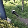 上野動物園