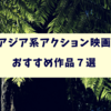 【アジア系】アクション映画がおもしろい！おすすめ作品７選！