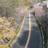  朝練コース