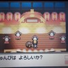 ポケモン日記　ソウルシルバー21