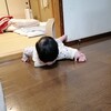 ブログ更新しなさすぎすんません