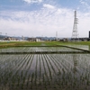 京都向日市の田園風景が激変する2022年