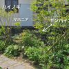 南側のコンクリートブロック塀を隠すには、樹木が駄目なら草花を植えればいいじゃない。