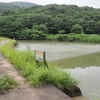 川内峠周辺の野池群（長崎県平戸島）