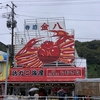 蟹🦀🦀🦀