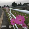 走行距離にこだわる人には向きません