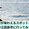 非日常が味わえるスポットとして人気の江田島市に行ってみよう！