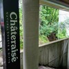 【旅行】日帰りで行く、子連れの山梨旅行