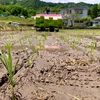 飛騨高山の水田の守人〜山腰農園〜