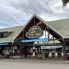 マザー牧場のコキア