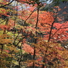 牛ヶ滝　・　南木曽町