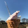 変わらぬ「真理」