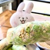 ルアンパバーンで常連客になりたい！次回もリピ確定の”Phonheuang Cafe”で食べるラオス風生春巻き