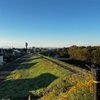 11月10日（日）１ヶ月ぶりの東京へ・・錦華楼のニラ玉、野菜たっぷりタンメン