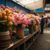 競り市場・花屋　フリー写真・フリー画像（AI画像生成）