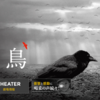 『異端の鳥』(2019)最後まで視聴した・なぜ生き埋めにされた？[ネタバレ]感想と考察