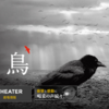 『異端の鳥』(2019)最後まで視聴した自分を褒めてやりたい[ネタバレあり]感想・考察